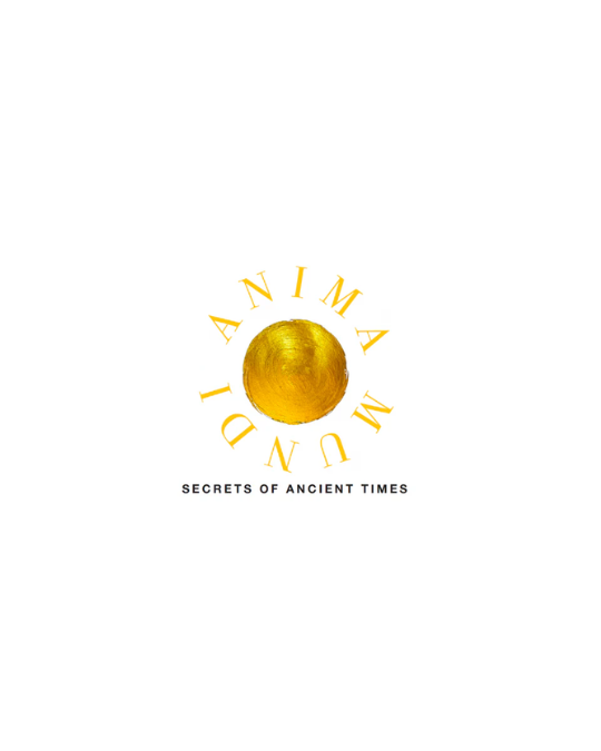 ANIMA MUNDI   Experince Collection