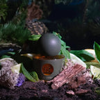 Ankura 30ml