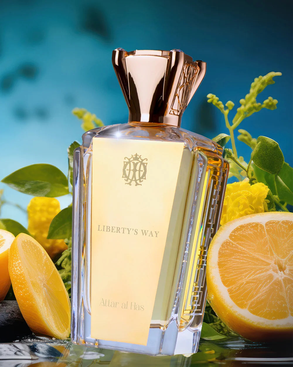 Liberty's Way 100ml Extrait De Parfum