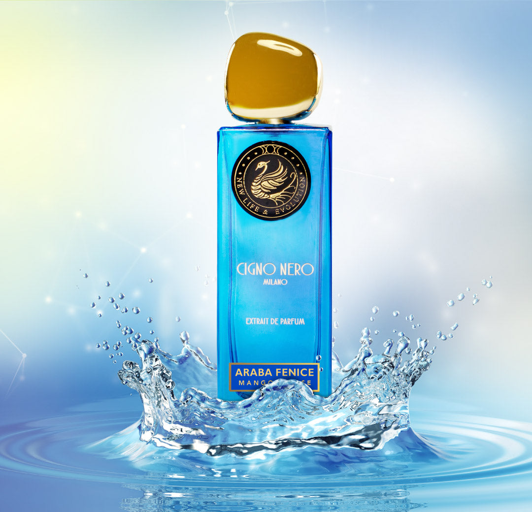 Araba Fenice 50ml