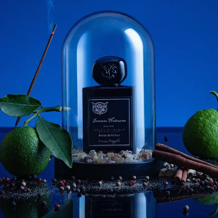 Incenso Notturno 50ml